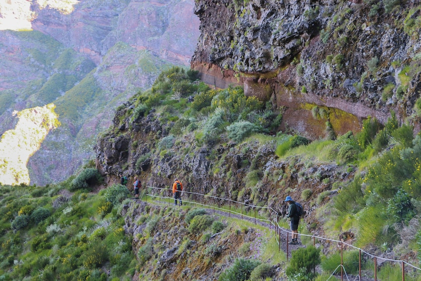 Guided Nature Hike (Full Day) - Pico do Arieiro