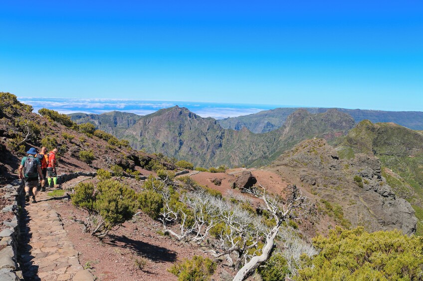 Guided Nature Hike (Full Day) - Pico do Arieiro