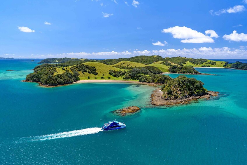 Picture 4 for Activity Auckland: Bay of Islands Day Tour with Dolphin Cruise