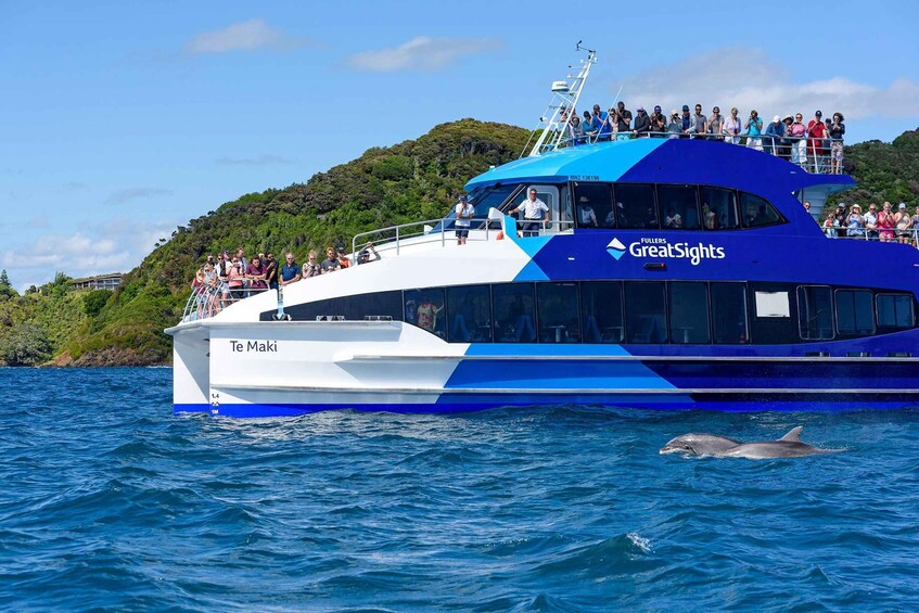 Picture 5 for Activity Auckland: Bay of Islands Day Tour with Dolphin Cruise