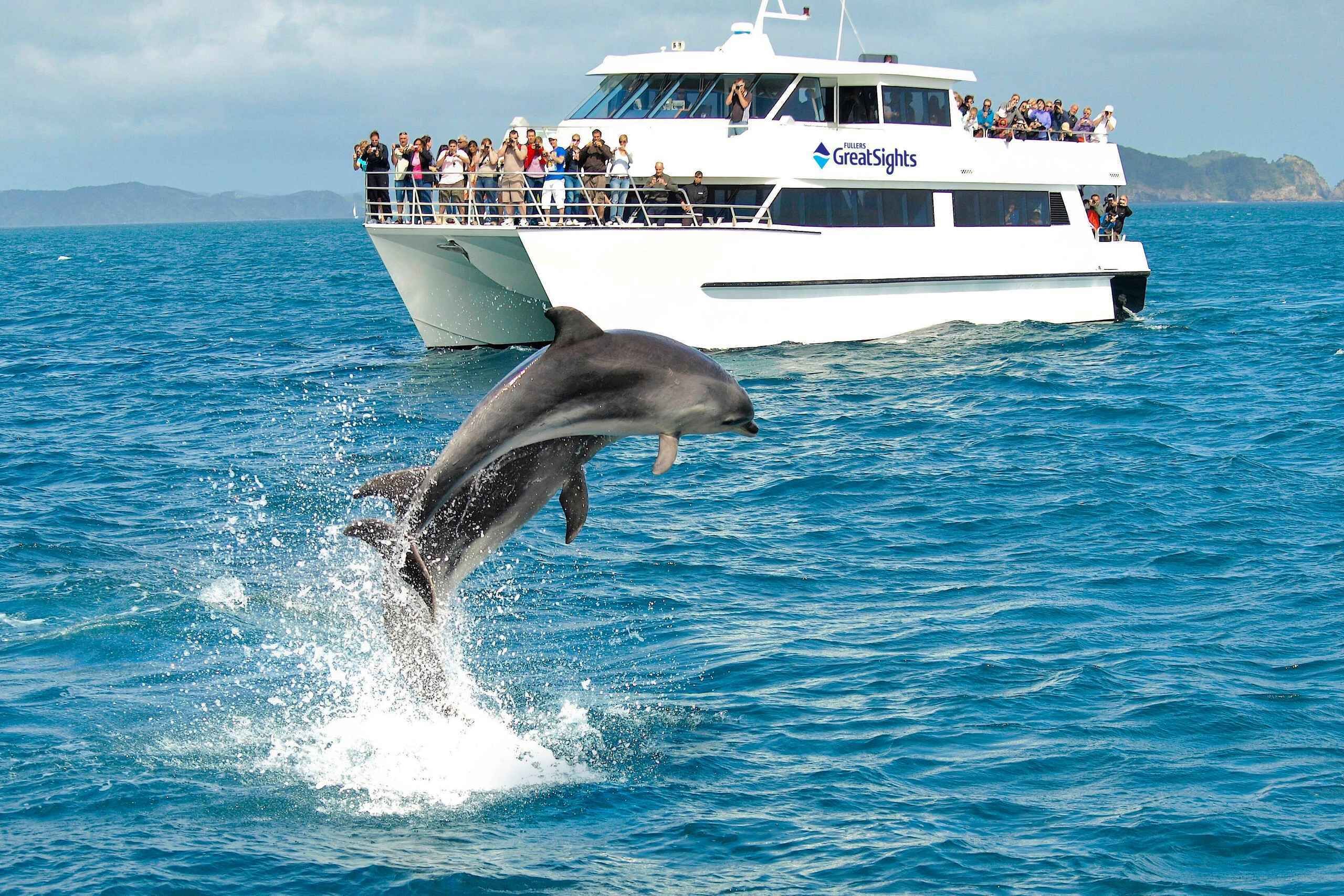 Auckland: Bay Of Islands Day Tour With Dolphin Cruise