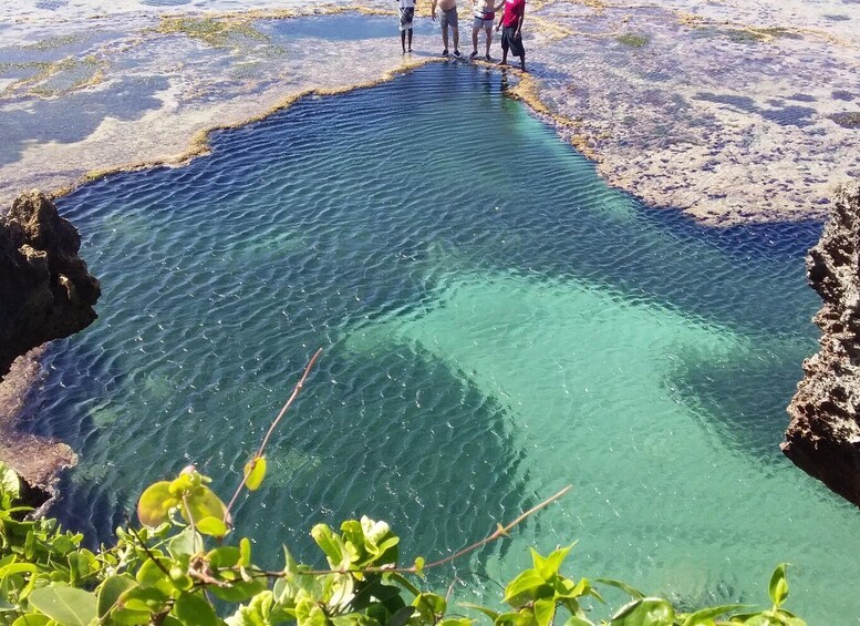 Picture 8 for Activity Diani: Snorkeling and Swimming at African Pool in Tiwi Beach