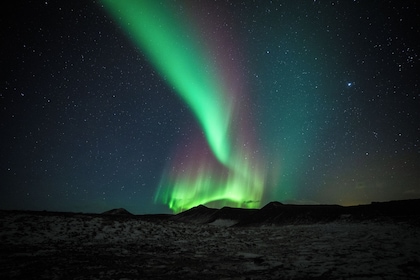 Luces boreales encantadas: chocolate caliente y fotos gratis - ¡Tour en gru...