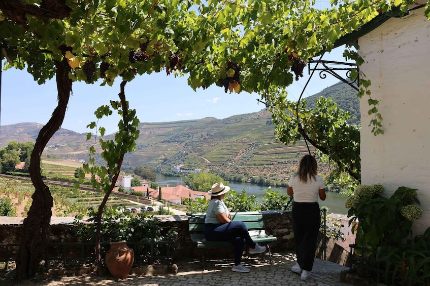 Picture 38 for Activity Vallée du Douro avec 2 vignobles, déjeuner et croisière 1h