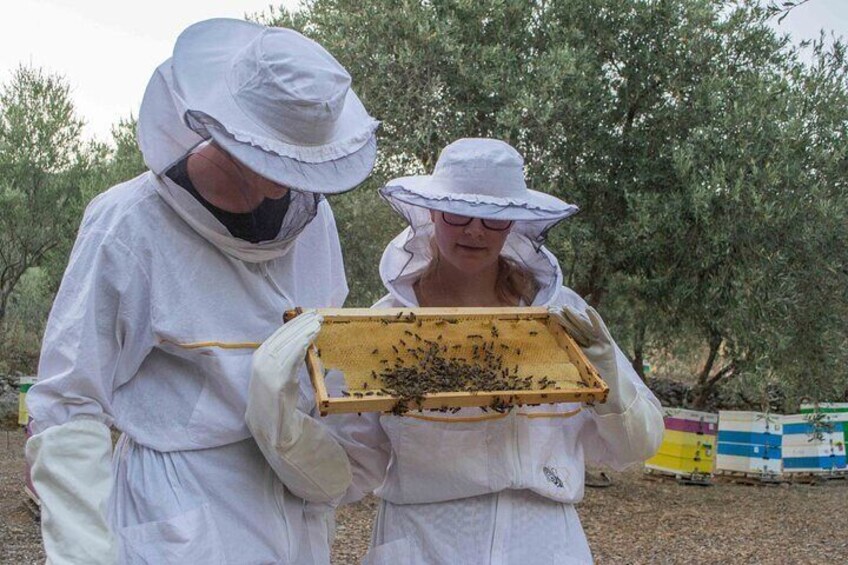 Beekeeping and Honey Stories in Itea