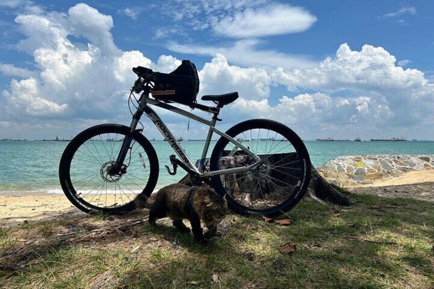 Singapore Beach City Cycling Tour