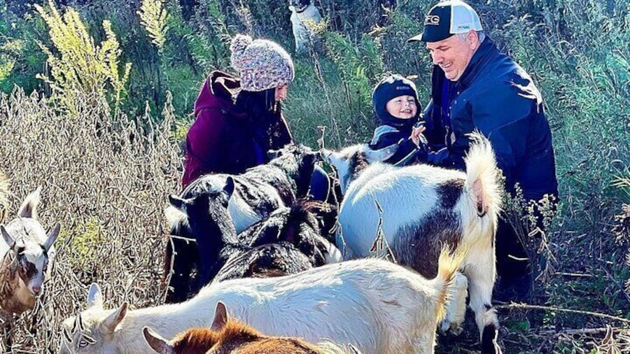 Haute Goat Shmurgle in Ontario