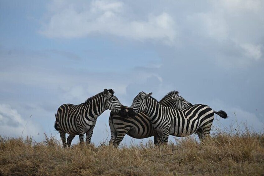 4-Day Tour to Tanzania's National Parks