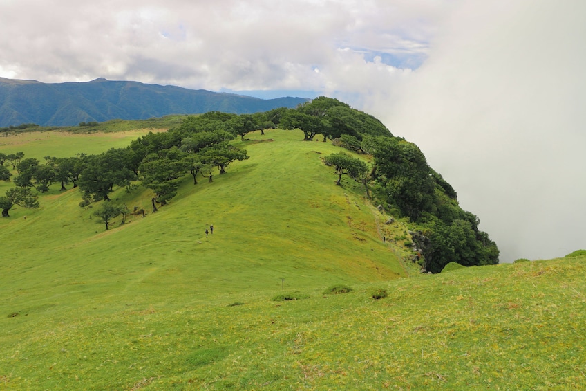 Guided Nature Hike (Full Day) - Fanal & Seixal