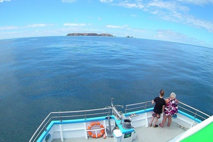 Berlengas