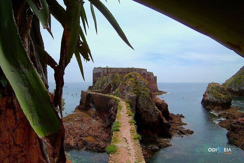 Fortaleza Berlenga