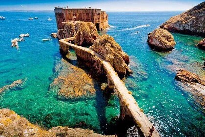 Berlengas Island Catamaran Tour - Return