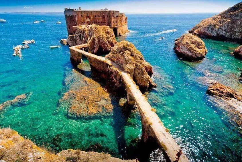 Berlenga - BerlengaTrip