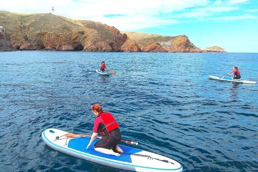 Ilha Berlenga
