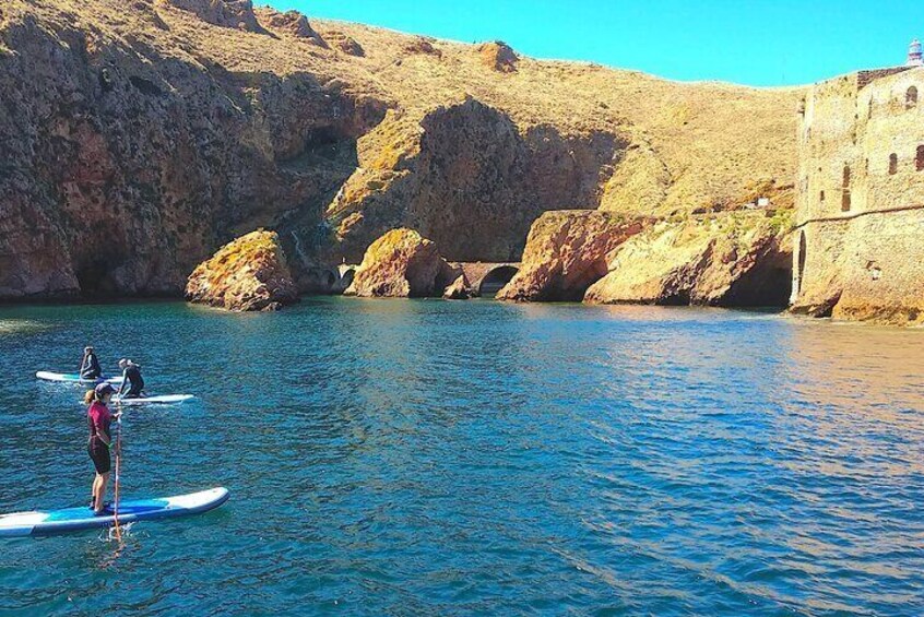 SUP Berlengas Island