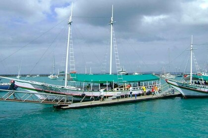 From Salvador: Schooner Tour to Frades Islands and Itaparica