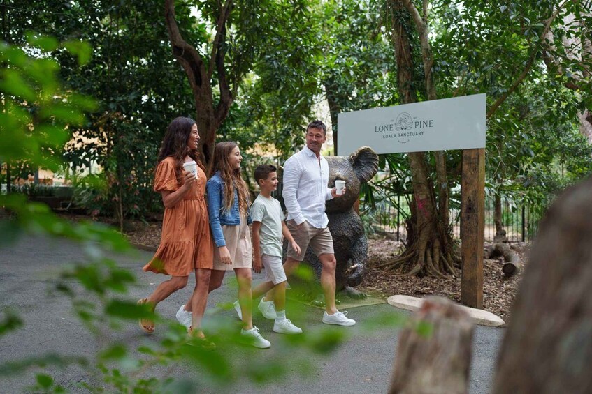 Picture 7 for Activity 6 Hours Brisbane Private Tour - Popular Sights in One Day