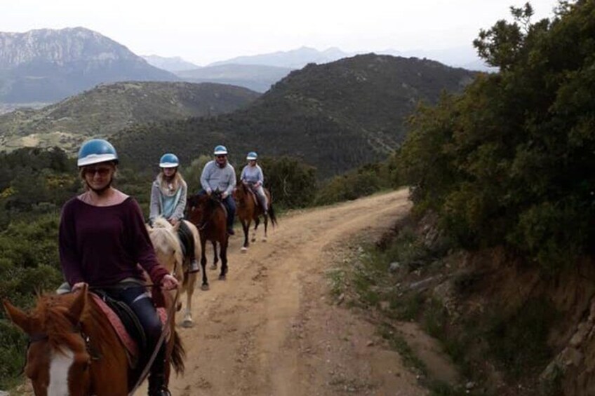 Orosei Horseback Riding in the Irgoli area