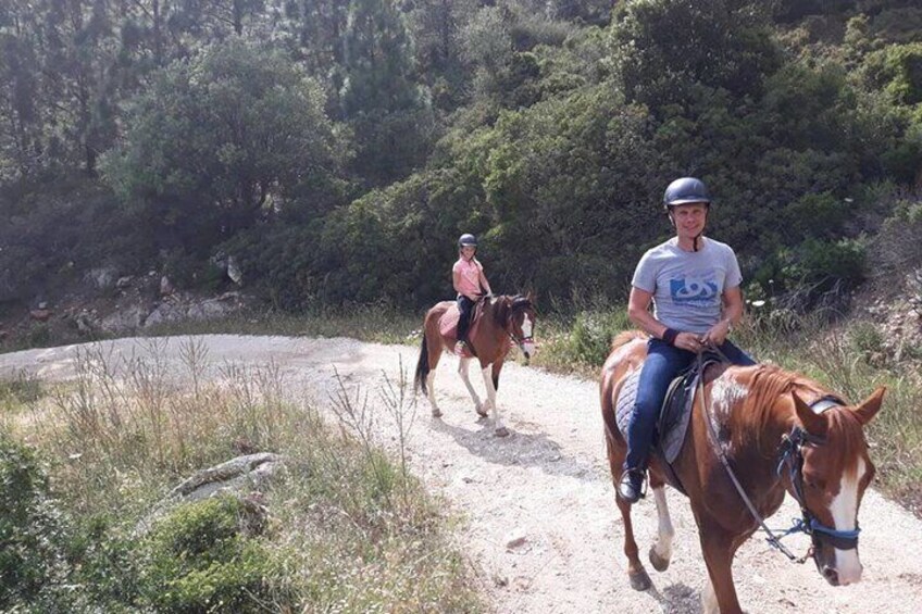 Orosei Horseback Riding in the Irgoli area