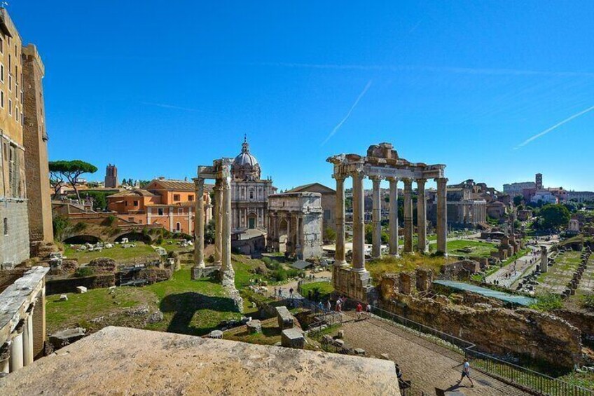 Private Exclusive Tour of the Colosseum and Ancient Rome 