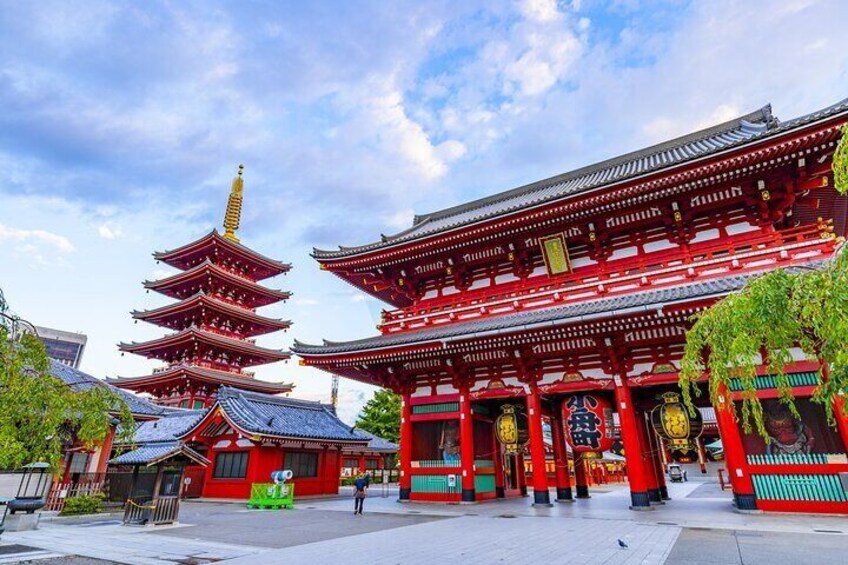 Tokyo Private Chauffeur All Must-Sees Sightseeing Tour - English Speaking Driver