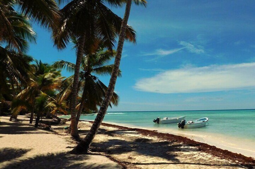 Full Day Saona Island Tour from Juan Dolio