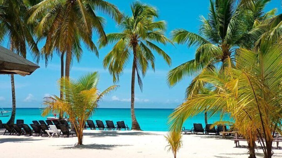 Full Day Saona Island Tour from Juan Dolio
