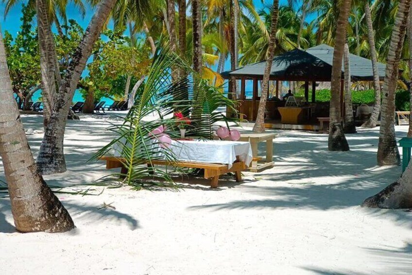 Full Day Saona Island Tour from Juan Dolio