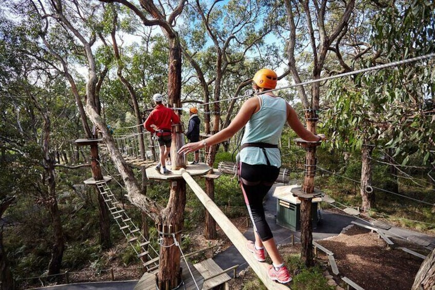 Enchanted Adventure Gardens and Moonlit Sanctuary Tour