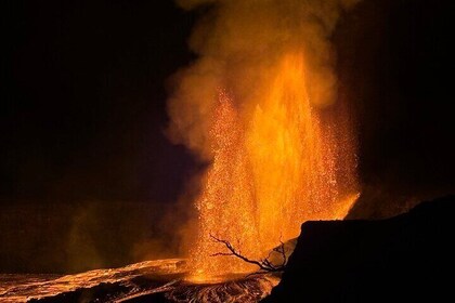 ヒロ寄港地観光：火山、滝、ビーチをランチ付きで訪問