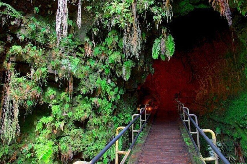 Entrance to the ancient Nahuku Lava Tube