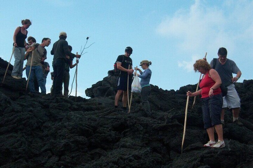 Full Day Pacaya Volcano Guided Trek from Antigua