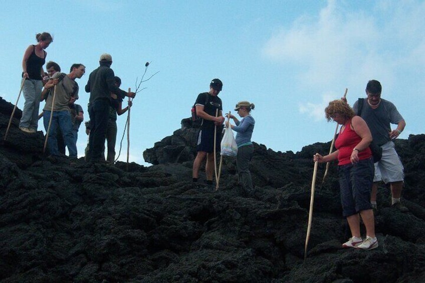 Full Day Pacaya Volcano Guided Trek from Antigua