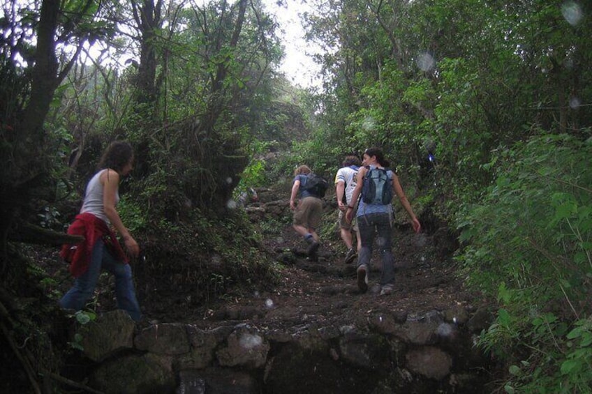 Full Day Pacaya Volcano Guided Trek from Antigua
