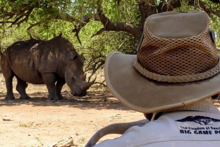 close encounter