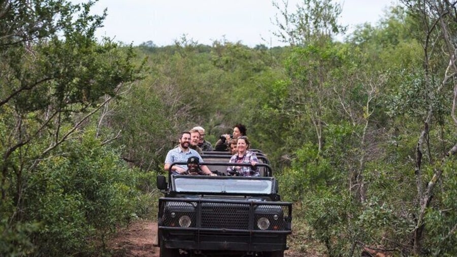Safari At Mkhaya