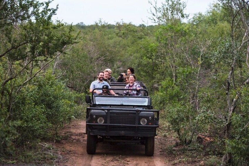 Safari At Mkhaya
