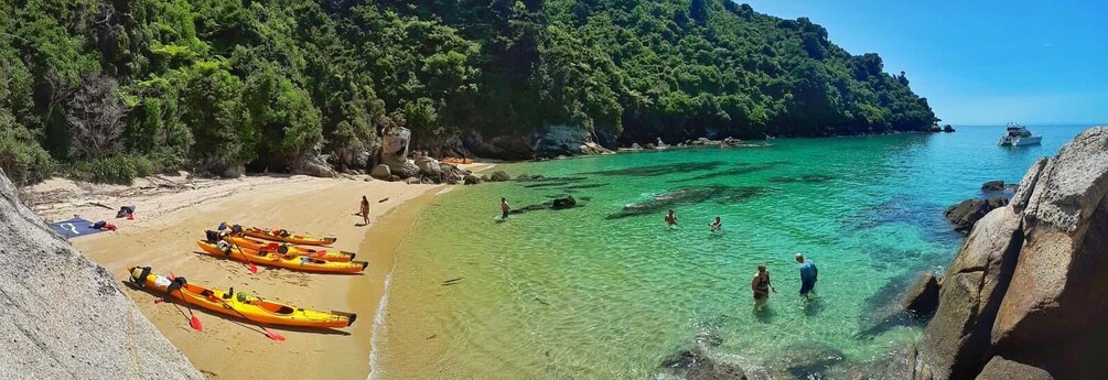 Picture 6 for Activity Abel Tasman: Remote Marine Reserve