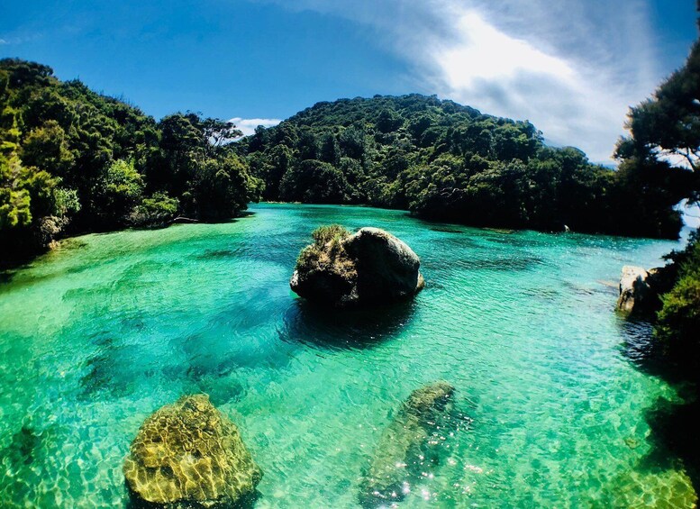 Picture 1 for Activity Abel Tasman: Remote Marine Reserve