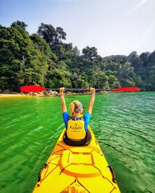 Mārahau: Abel Tasman Marine Reserve Kayak Tour