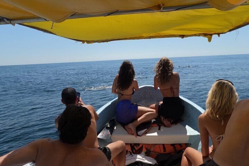 Half Day Marine Safari in Puerto Escondido Mexico