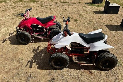 Mini ATVs and Farm Animal Experience