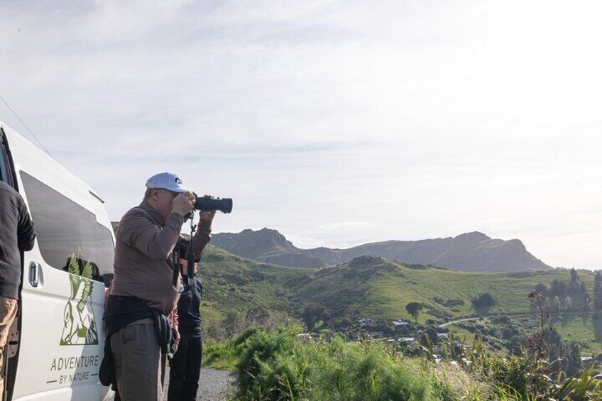 Photo Time, Governors Bay Lyttelton Harbour