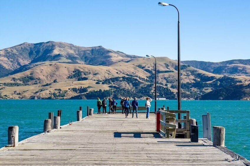 Private Day Tour of Akaroa and Banks Peninsula From Christchurch