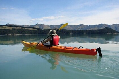 Private Sea Kayaking Shore Excursion from Lyttelton Harbour