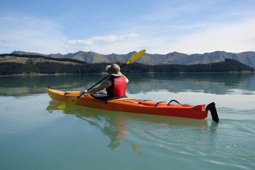 Private Sea Kayaking Shore Excursion from Lyttelton Harbour 