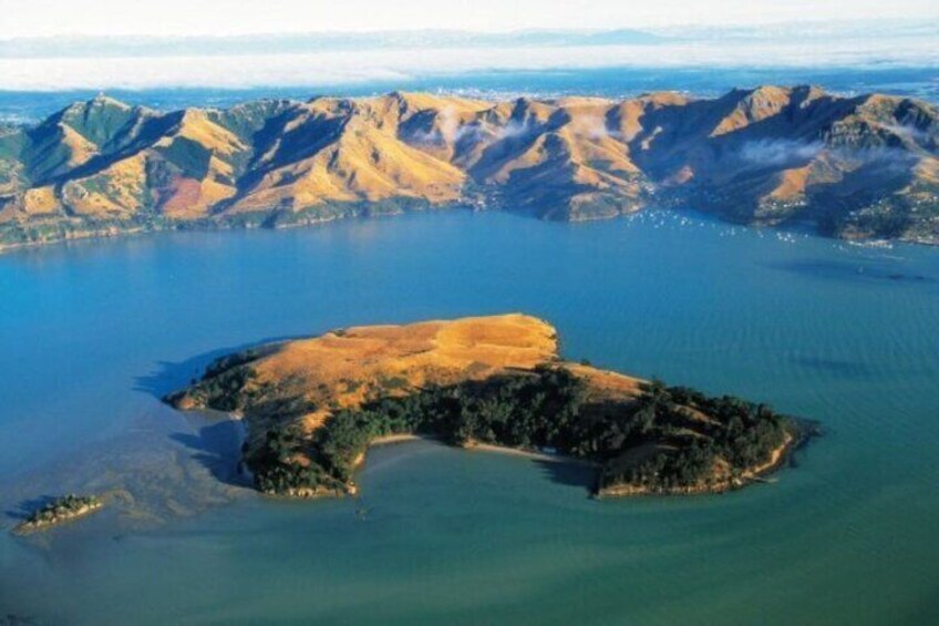 Quail Island, Lyttelton Harbour