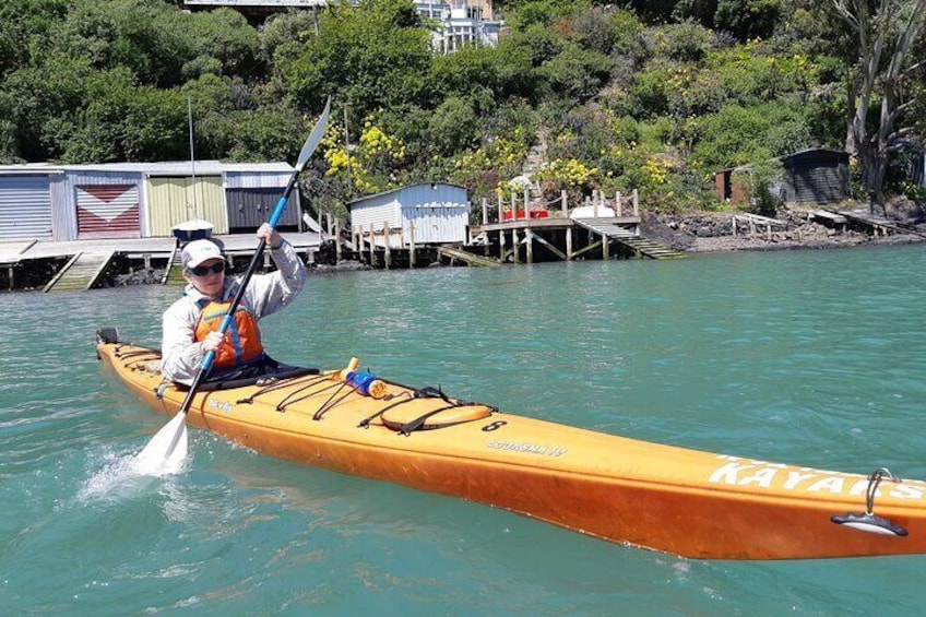 Private Sea Kayaking Shore Excursion from Lyttelton Harbour 