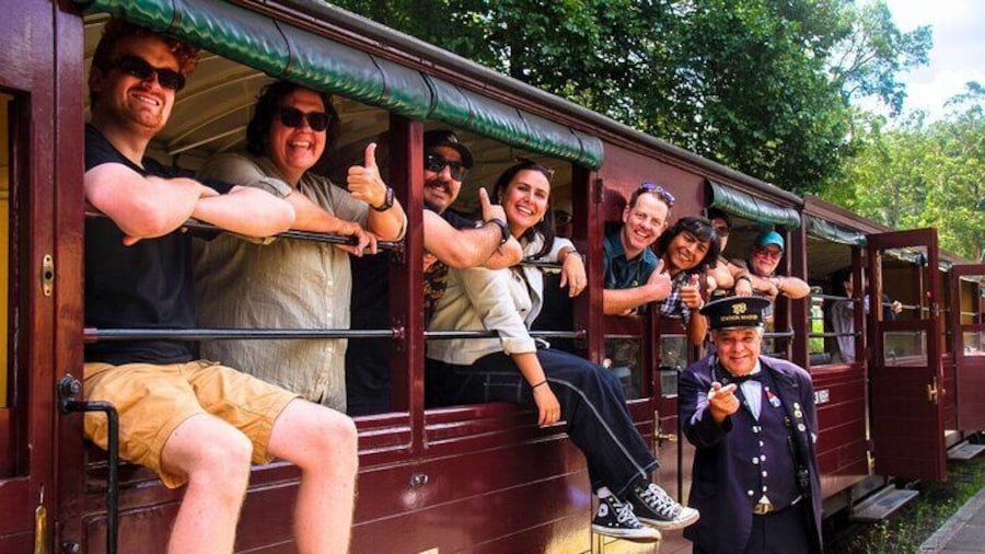 Half-Day Puffing Billy Steam Train Experience