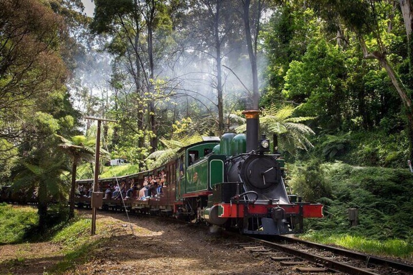Half-Day Puffing Billy Steam Train Experience